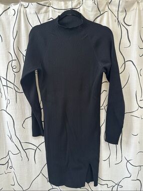 Wilfred Free Alchemy Sweater Dress